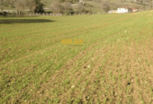 Investment Land for Sale in Arnavutköy Tayakadın, Istanbul – 3,905 m²