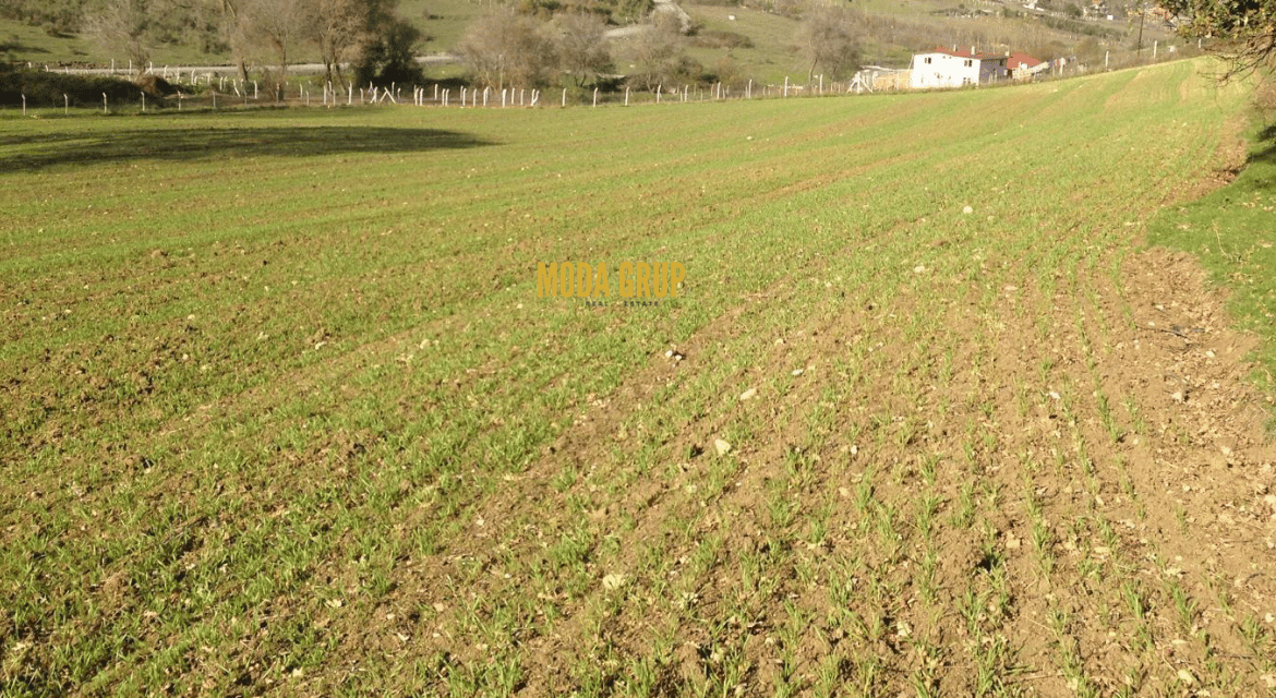 Investment Land for Sale in Arnavutköy Tayakadın, Istanbul – 3,905 m²