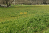 Investment Land for Sale in Arnavutköy Tayakadın, Istanbul – 3,905 m²