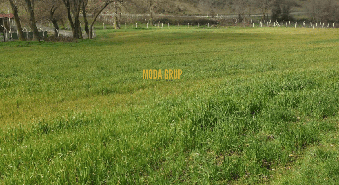 Investment Land for Sale in Arnavutköy Tayakadın, Istanbul – 3,905 m²